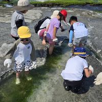 海科館非營利幼兒園114學年新生群