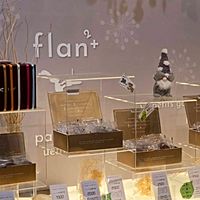 flan2