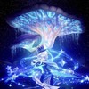 原神啟動