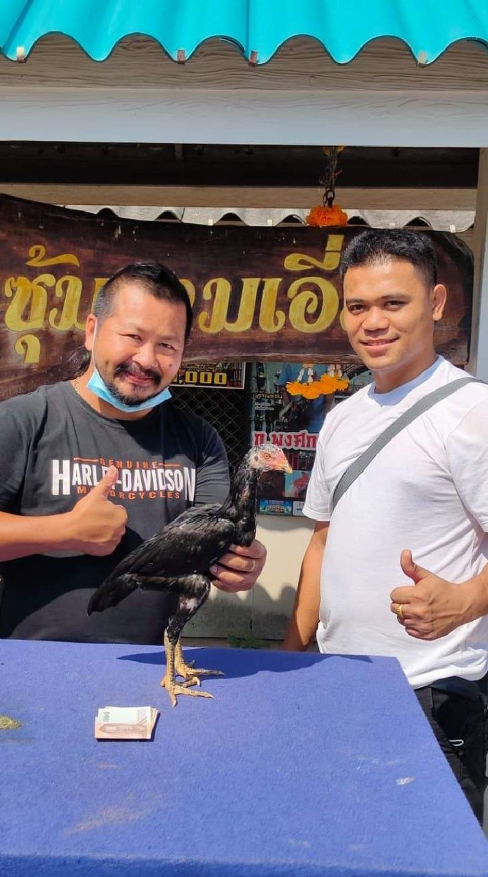 ซุ้มโยธินฟาร์ม เหลากอสามเอี่ยว100