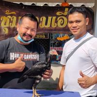 ซุ้มโยธินฟาร์ม เหลากอสามเอี่ยว100