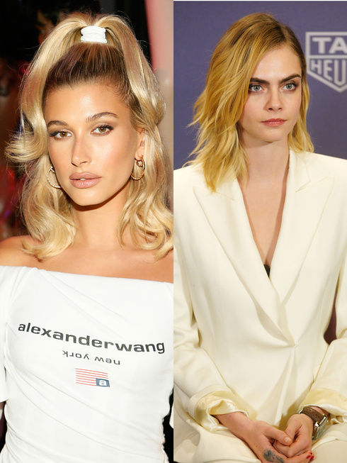 実は犬猿の仲 話題をさらった激闘セレブバトル