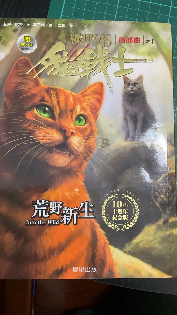 貓戰士聊天群