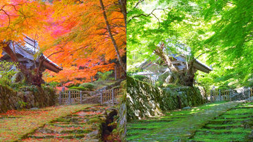 滋賀縣景點攻略｜琵琶湖「湖東三山」 鬱鬱蔥蔥！夏秋來玩都能欣賞絕景