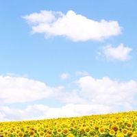 🌈世界に届け‼️こども未来プロジェクト☀️ミラプロ🌏