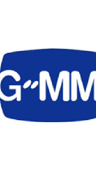 BOT GMMTV PARTY