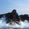 【銭洲伊豆】遠征大物釣り好き🎣
