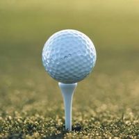福岡20代コンペ　12月の最初の週平日開催　参加確定組