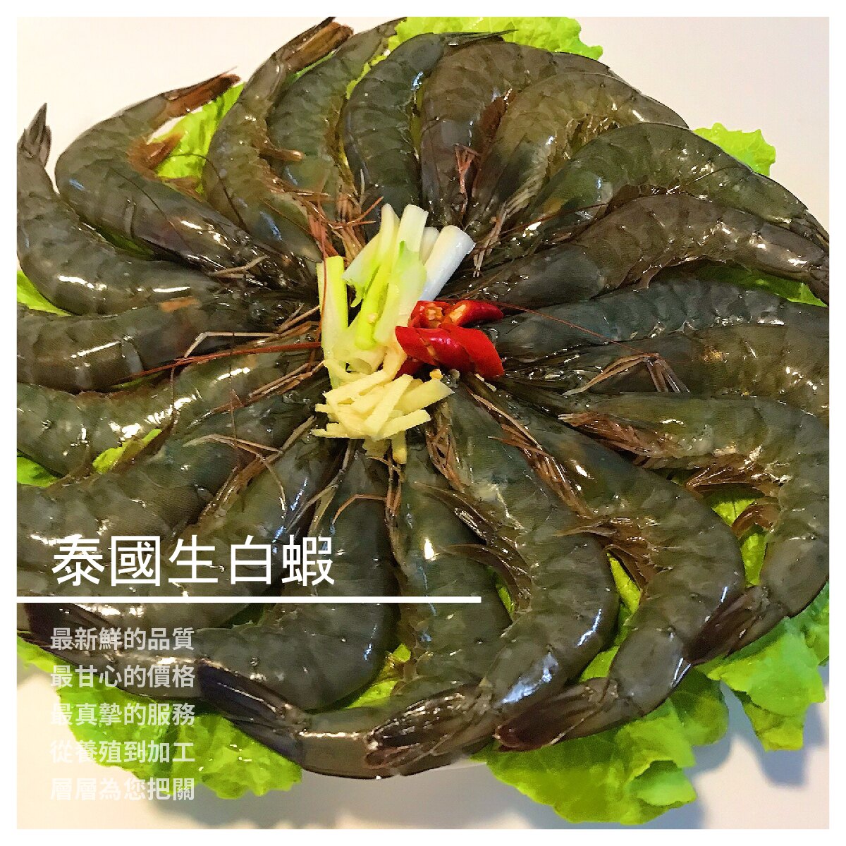 【大高雄爭鮮魚行】泰國進口白蝦 650g50g