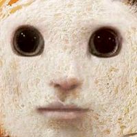 なんでもありな場所