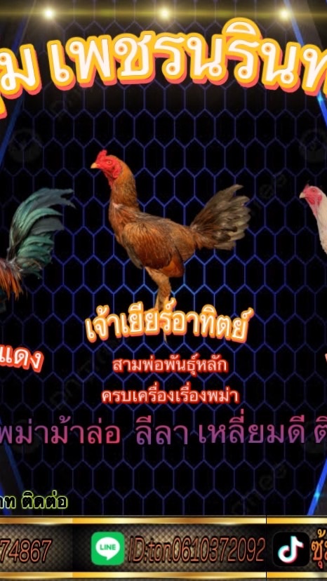 เพชรนรินทร์💎🐓