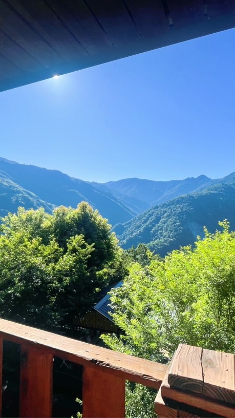 大富蔬果批發零售