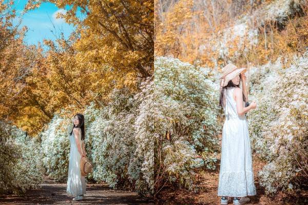 ▲圖片來源：IG@yupei1124