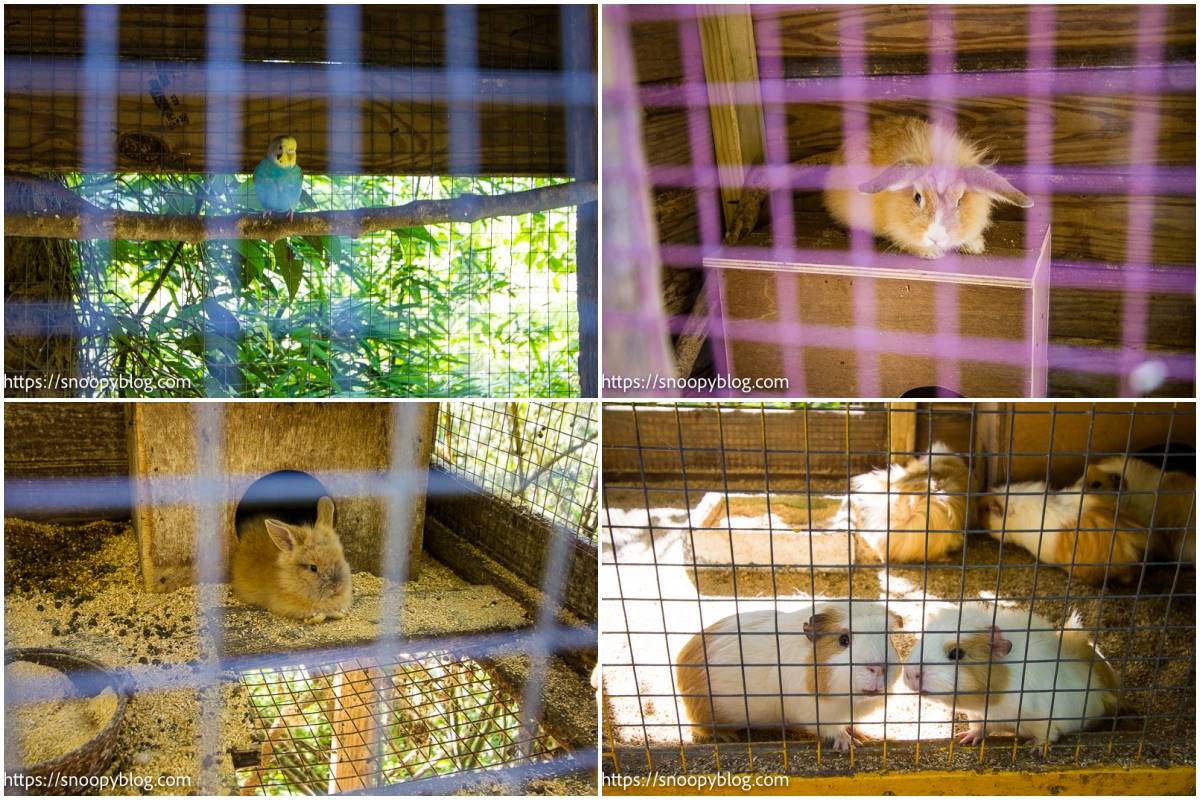 2023八里沙雕展「這天」登場！16座神話沙雕免費拍，順遊４大景點＋美食