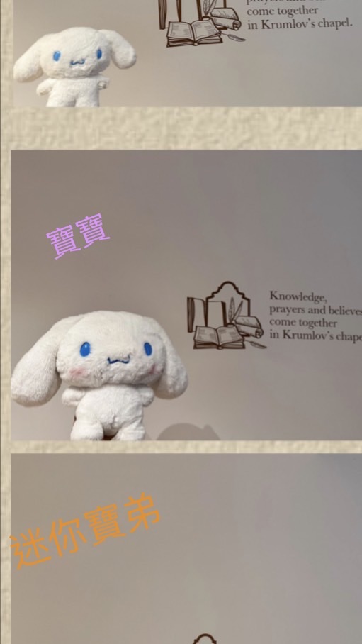 🥰😍寶貝專區