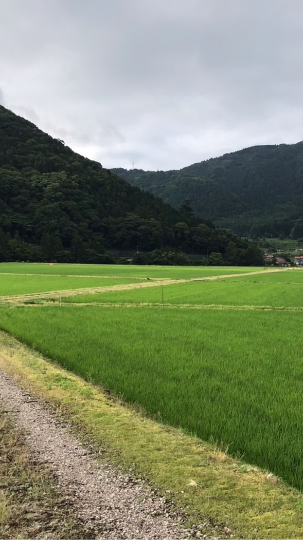 食と農と環境を考える会（仮）