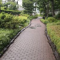 あおい発達障害当事者会