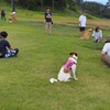 アニマル　ライフ