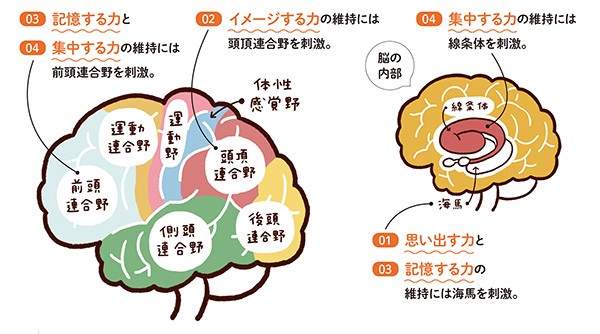 脳を鍛える 無料 大人の脳トレドリル で認知症予防 ハルメク365