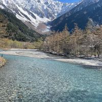 NALPUSセミナーチャット