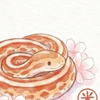 爬爬私語｜爬爬研究所