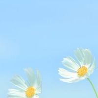 ฝึกชุมชนปี3 เลขที่ 33-40