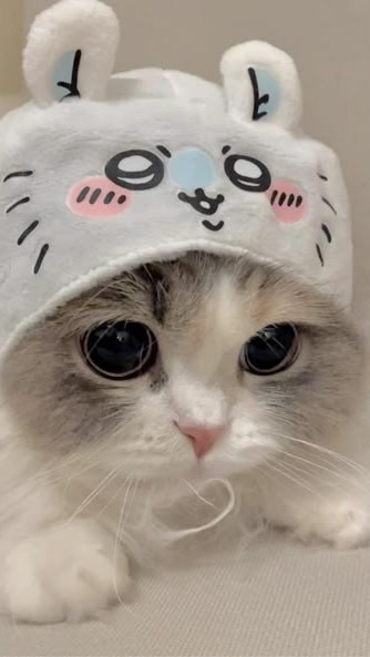 雑談ー！《なんでもあり》