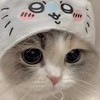 雑談ー！《なんでもあり》