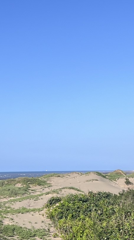 旅遊