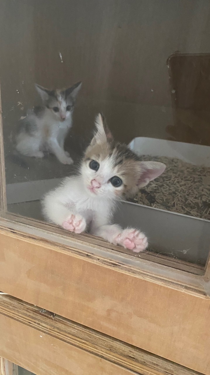 緊急救援/專業知識分享/中途交流