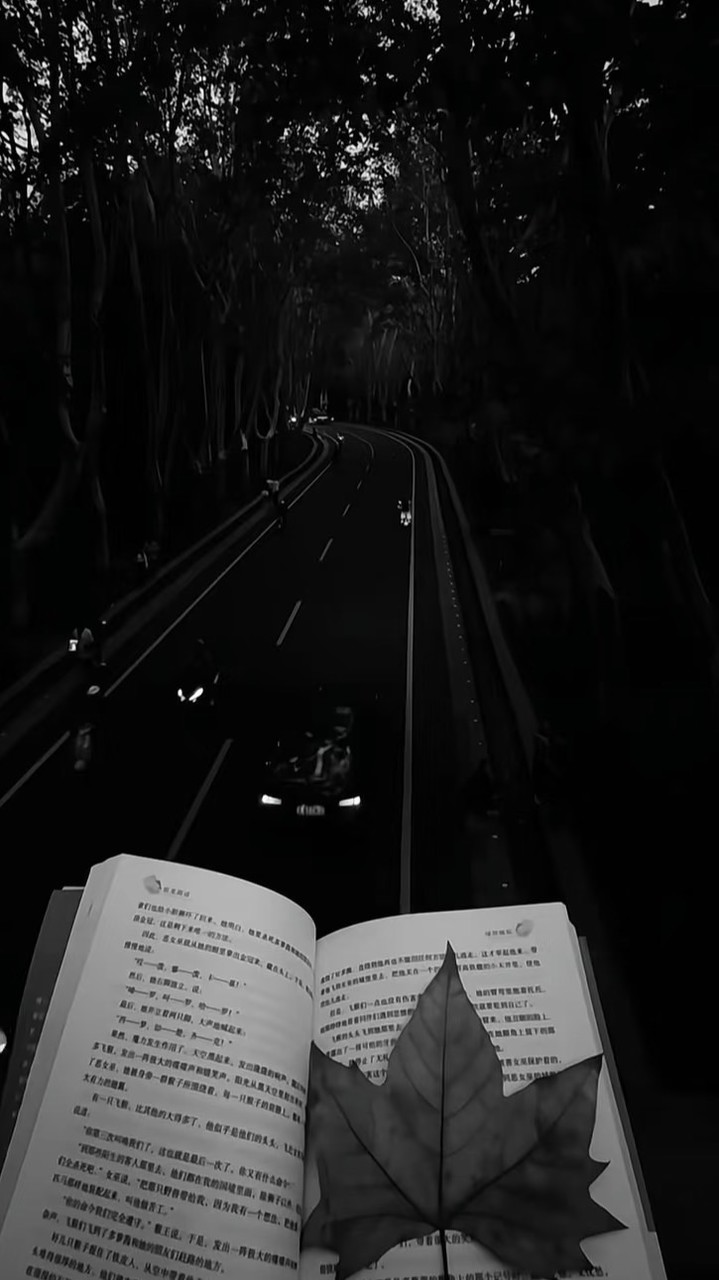 ［𝙂𝙧𝙚𝙮 𝙇𝙖𝙮𝙚𝙧 𝘼𝙘𝙖𝙙𝙚𝙢𝙮-灰層學院/EABO］
