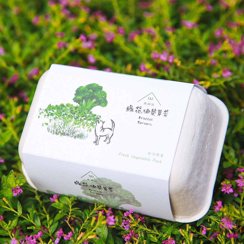 【青菜笠】雞蛋環保植栽盒-綠花椰菜芽菜《屋外生活》