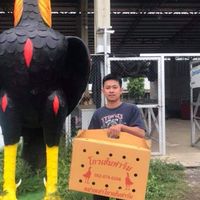 ร้านมังกรอุปกรณ์ไก่ชน                     เพชรทองทาฟาร์ม