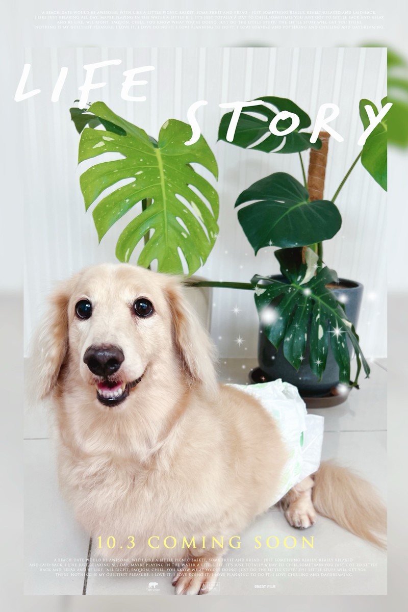 樂狗寵物沙龍- LINE熱點