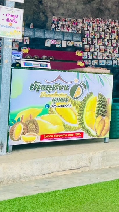 บ้านทุเรียนชุมพร