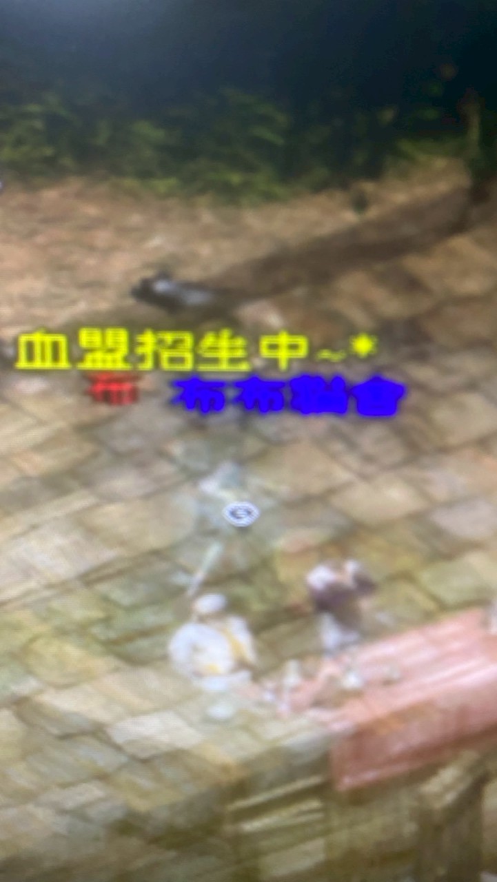 布布貓舍