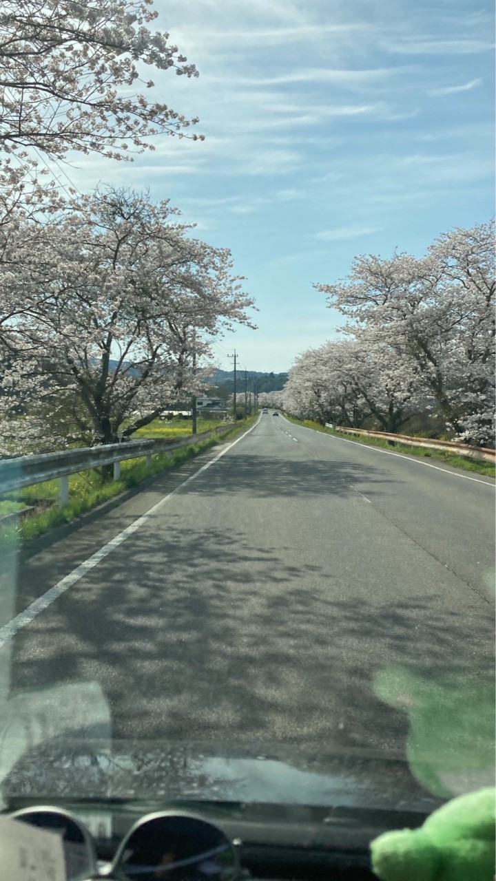 准看71回生
