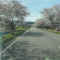 准看71回生