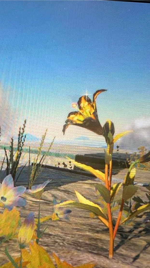 対荒活動部隊