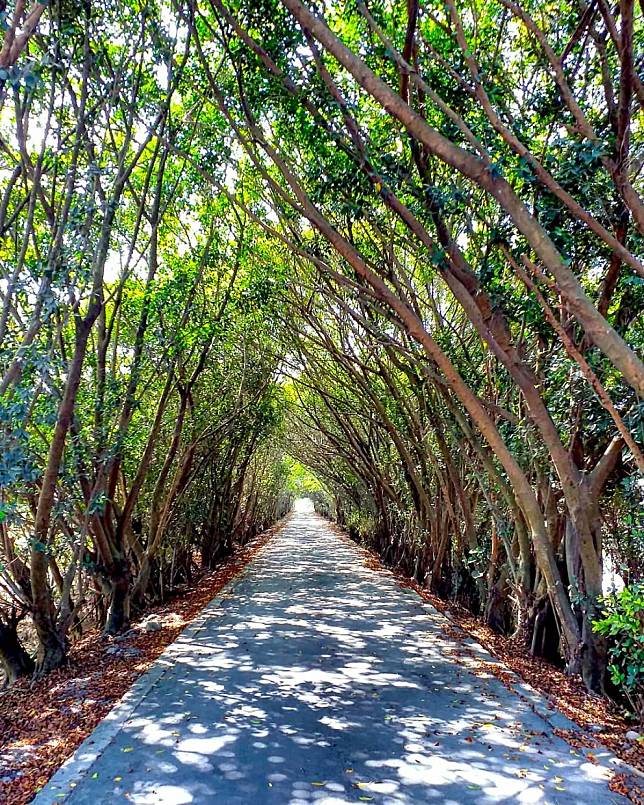 ▲屏東隘寮溪堤防自行車道。（圖/IG @gaobieyouzi)