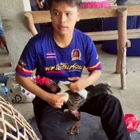 เจ้าอาร์ท โคราช