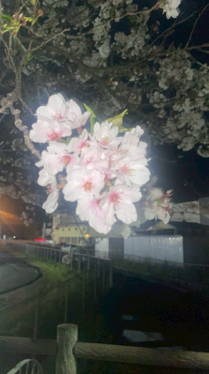 中、高生雑談しよぉ