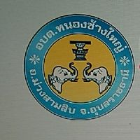 ตำบลหนองข้างใหญ่
