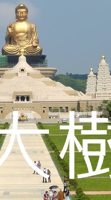我是大樹人