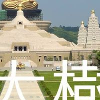 我是大樹人