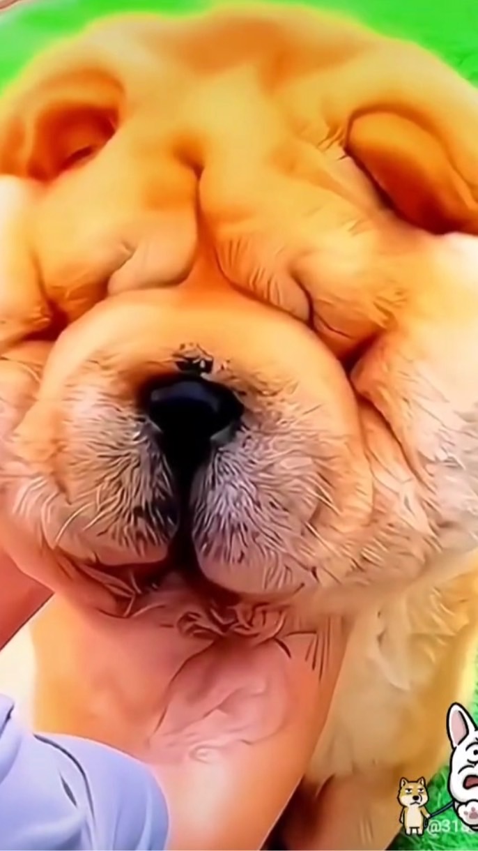 閨蜜不滿群