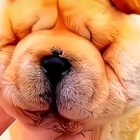 閨蜜不滿群