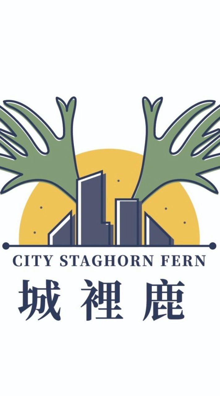 城裡鹿玩家交流群