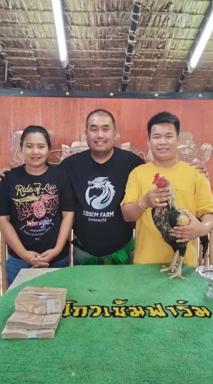 ตุ๊กตา