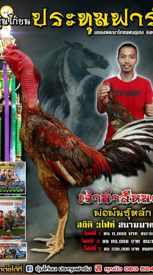 ซื้อ-ขายและประมูล ไก่ชนราคามิตรภาพครับ